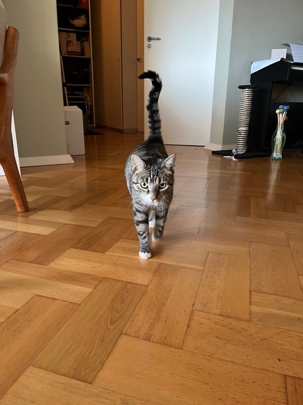 Luna