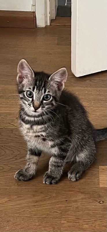 Coco