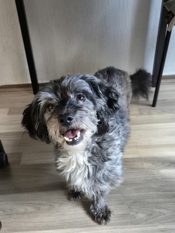 Tina