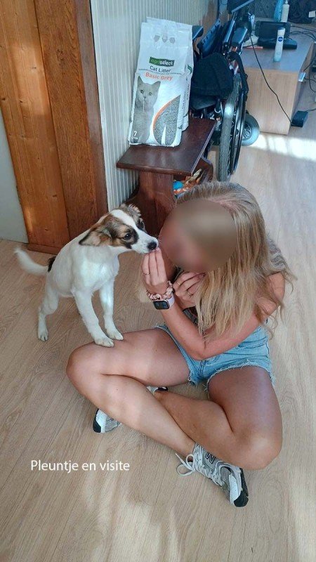 Pleuntje
