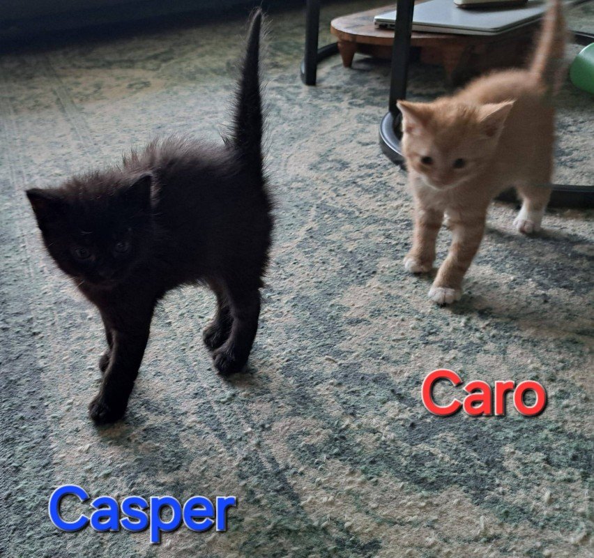Casper