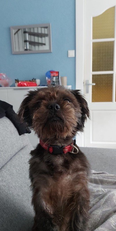 Sven