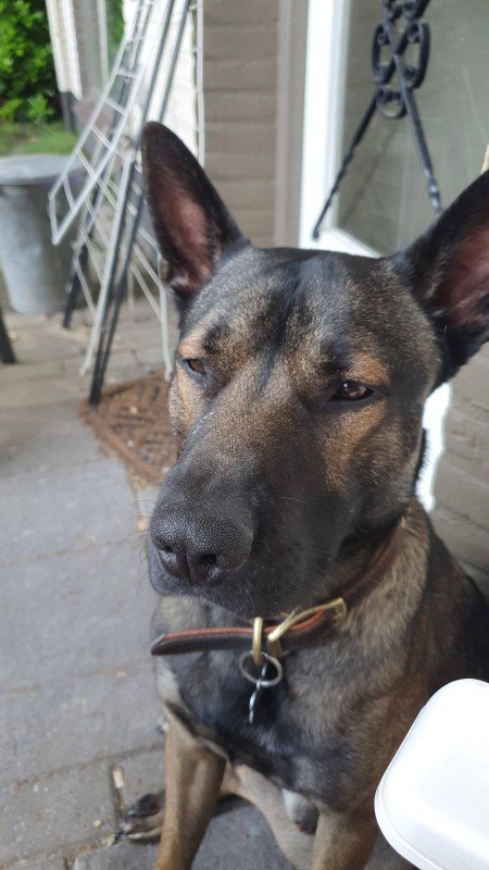 Djaxx
