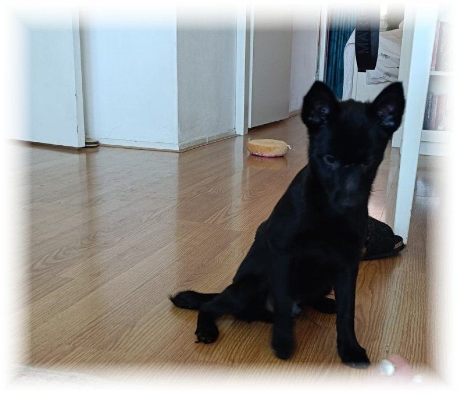 Maxi