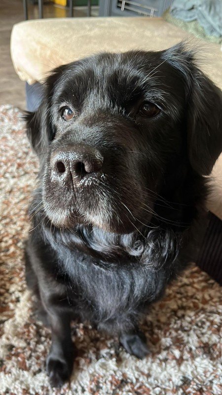 Billy