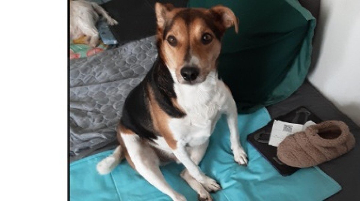 Oscar