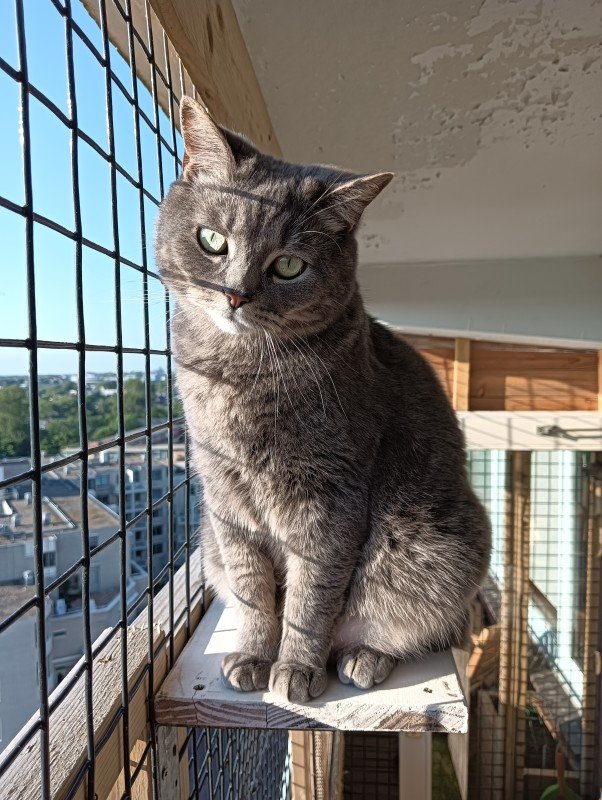 Bella