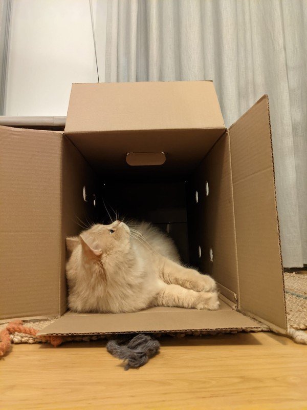 Finn