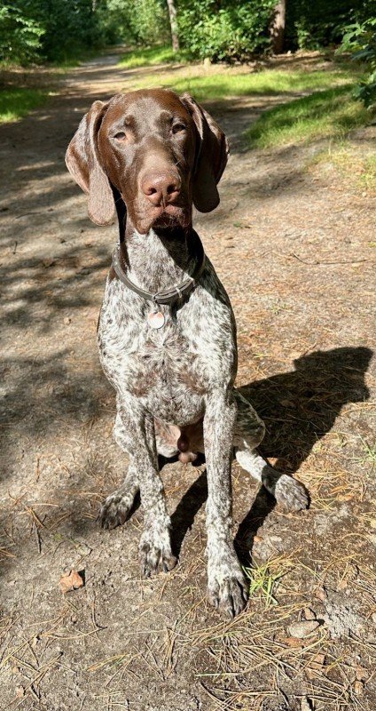 Jambo Baraka van de Vrombautput