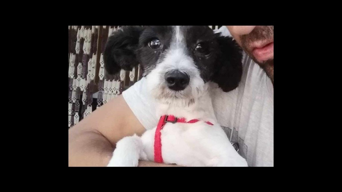 Mickey