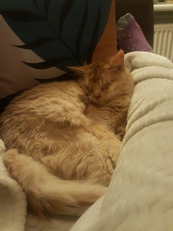 Eddie