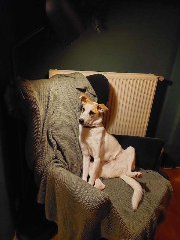 Aik, een knappe jongen met veel charme!