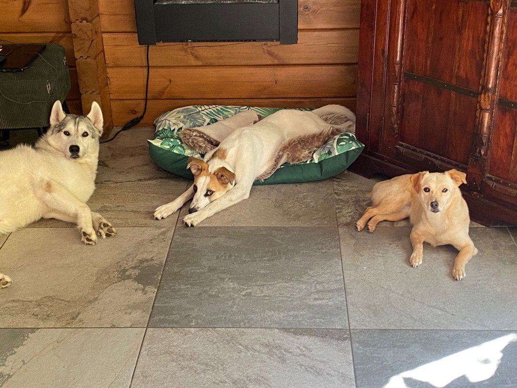 Aik, een knappe jongen met veel charme!