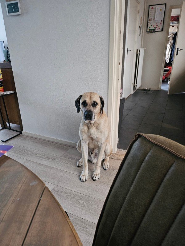 Max