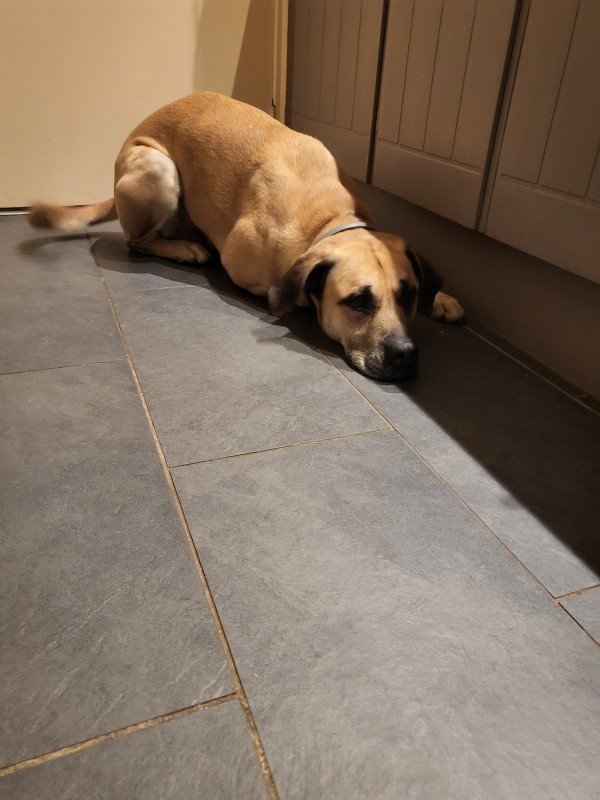 Max