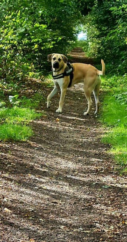 Max