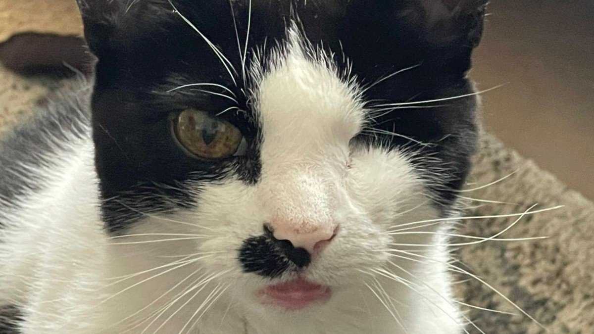 Diego