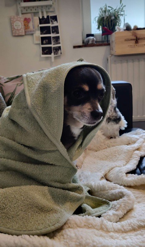 Oscar
