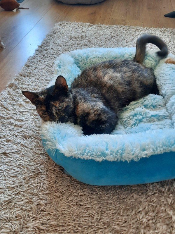Tiny