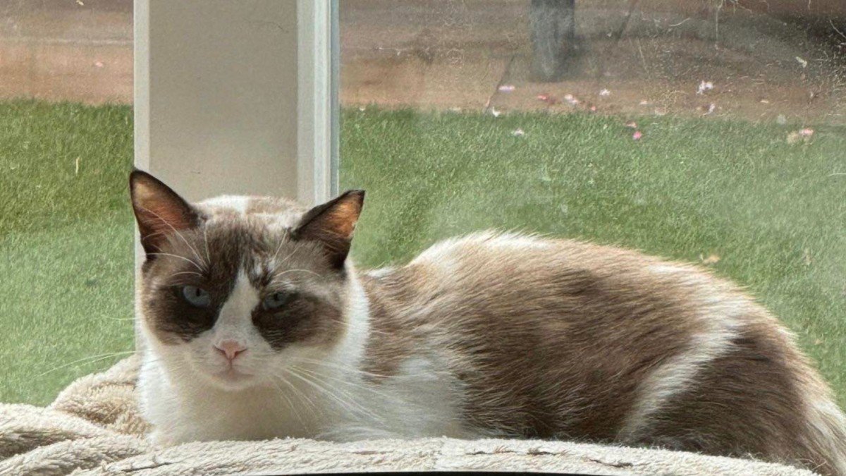 Sammie