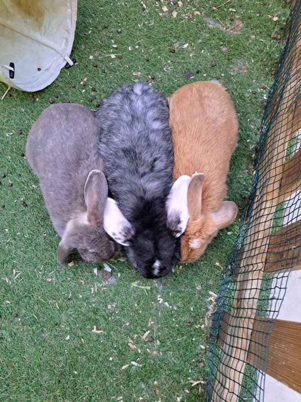 Drip + Peach + Bettie