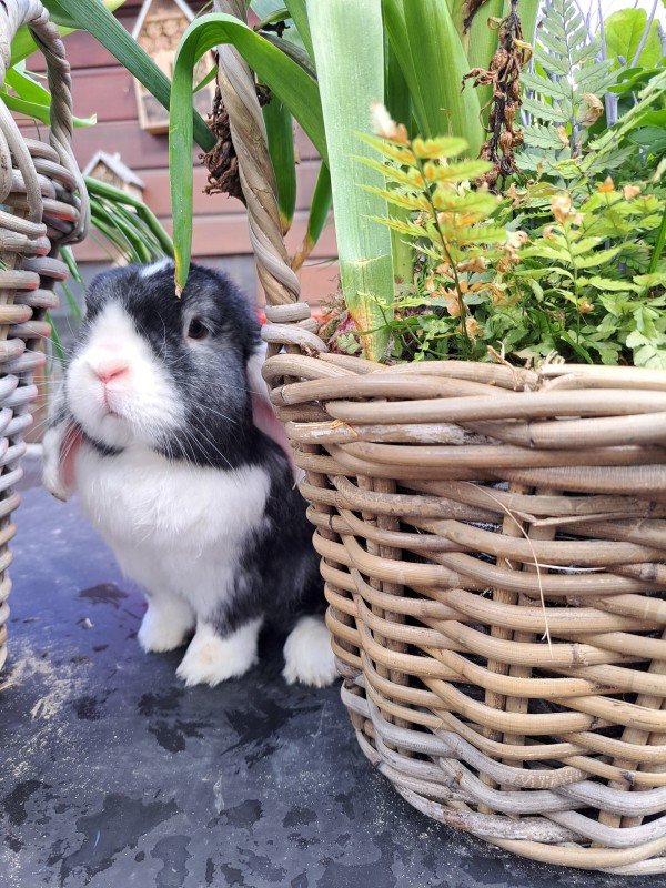 Drip + Peach + Bettie