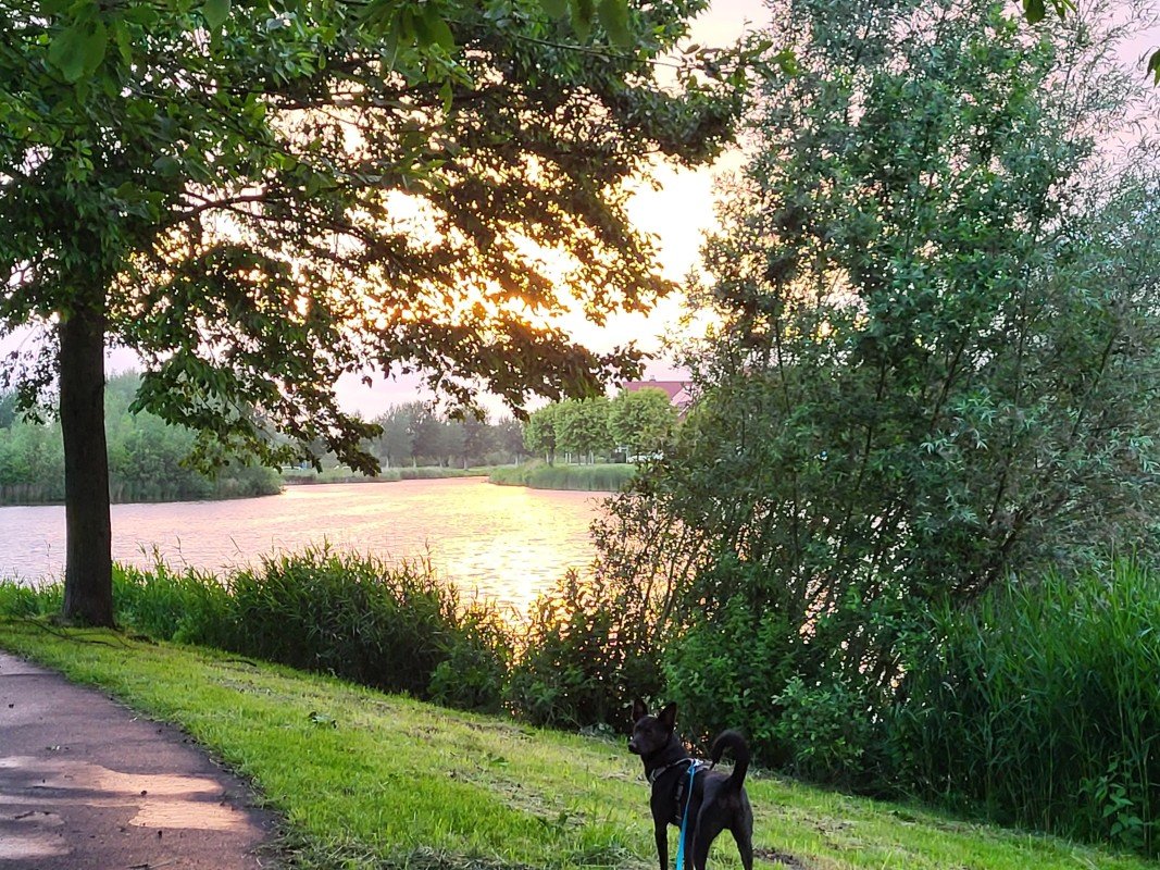 Blacky