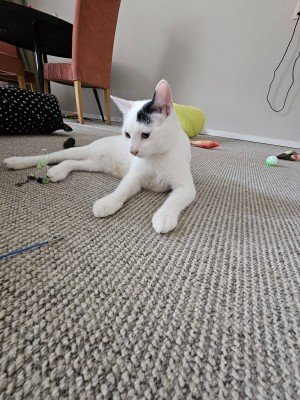 Eros