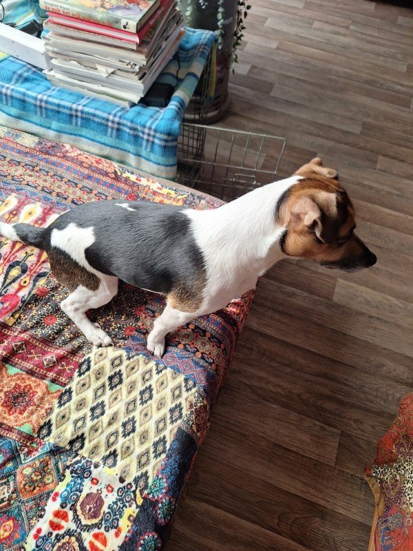 Sam