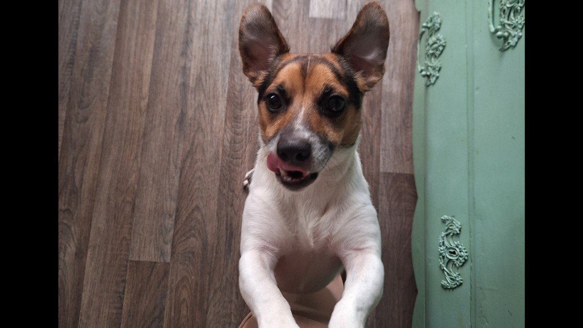 Sam