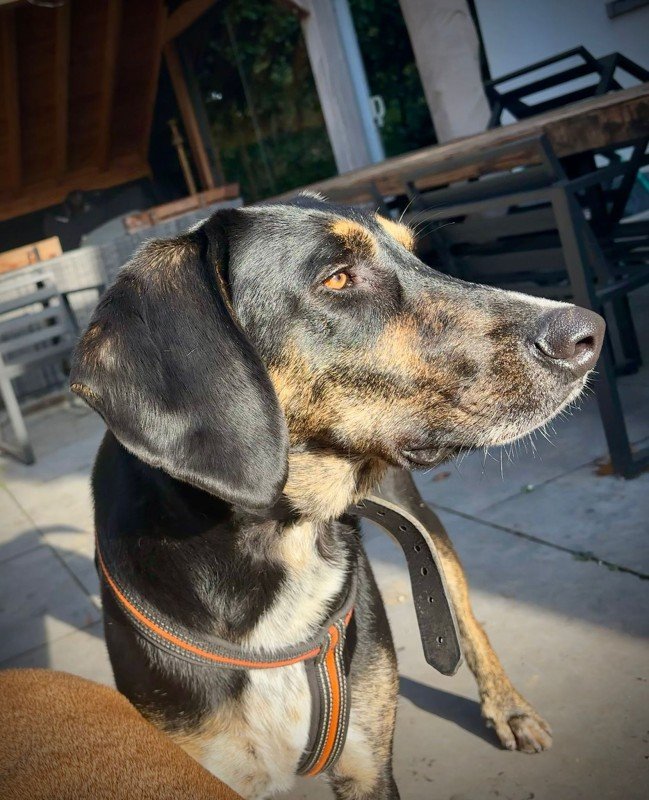 Sam