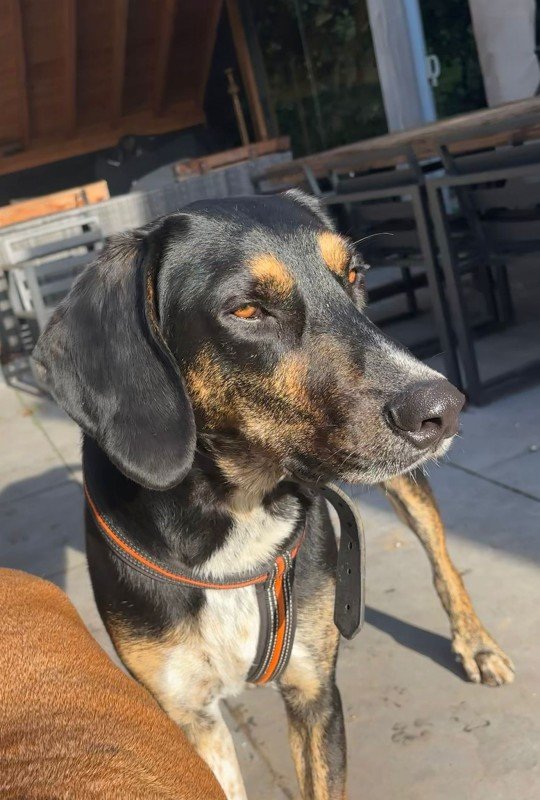 Sam