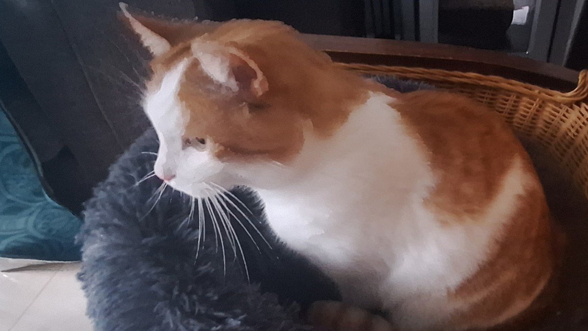 Simba