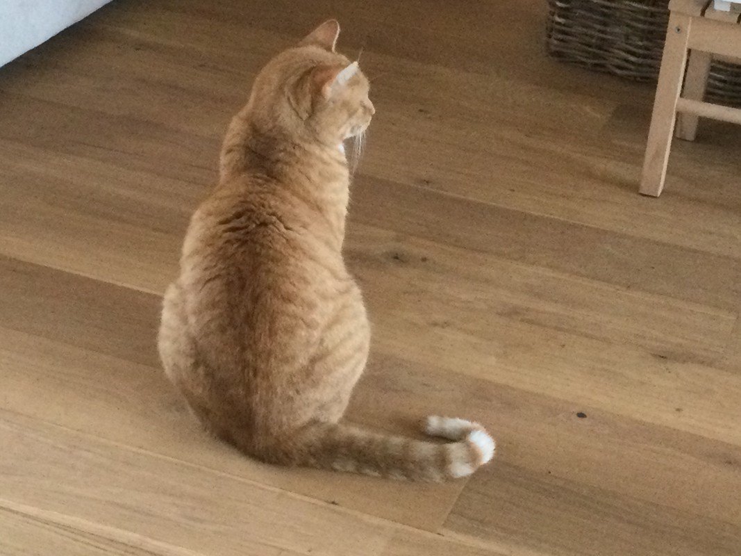 Billy