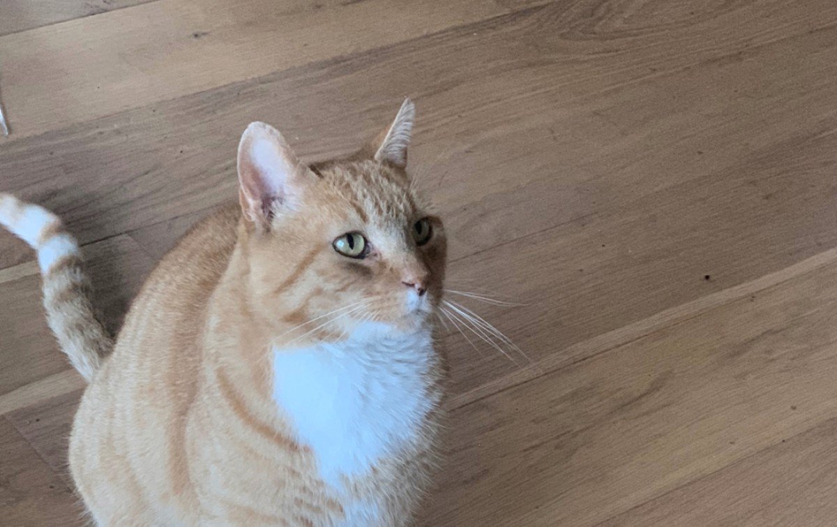 Billy