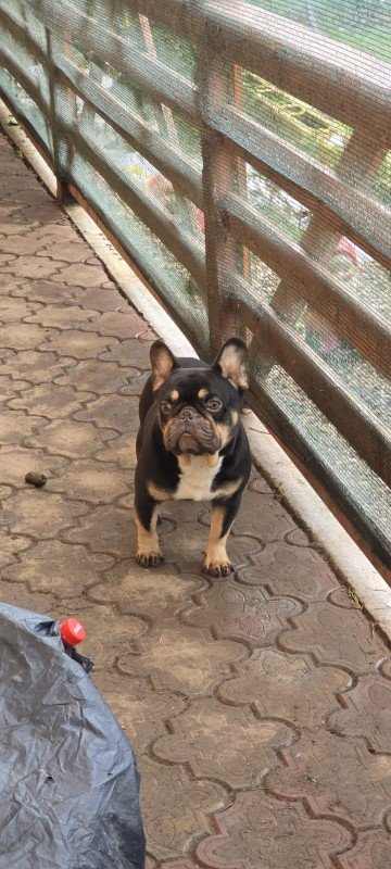 Max