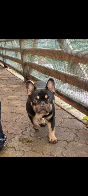 Max