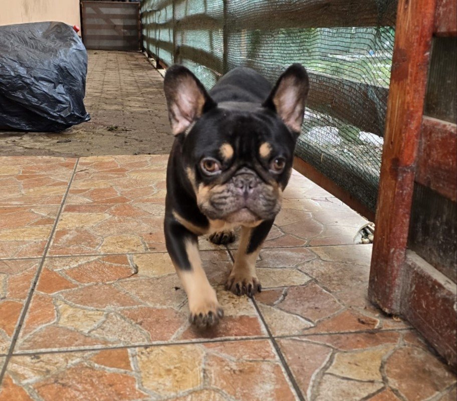 Max