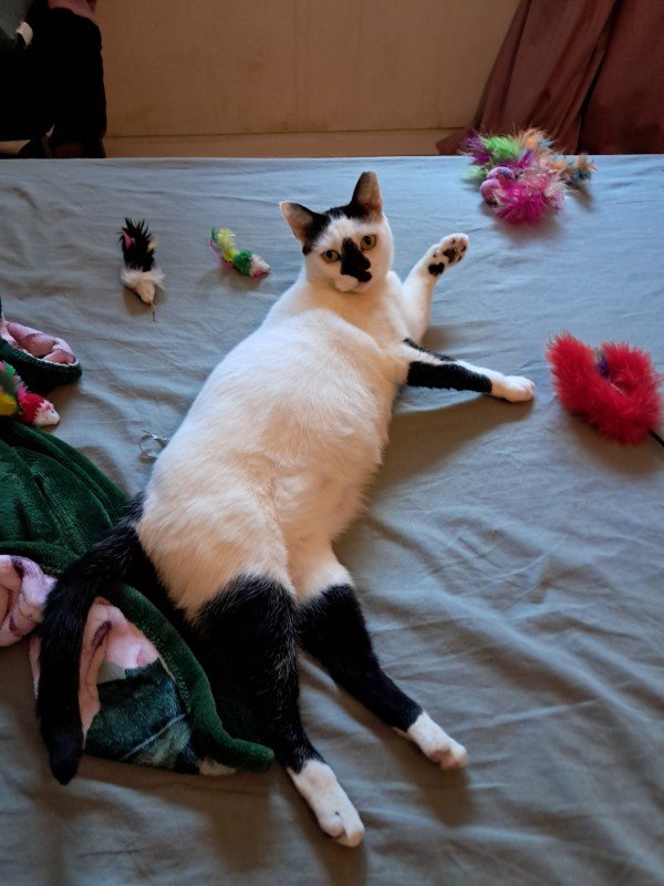 Olivia