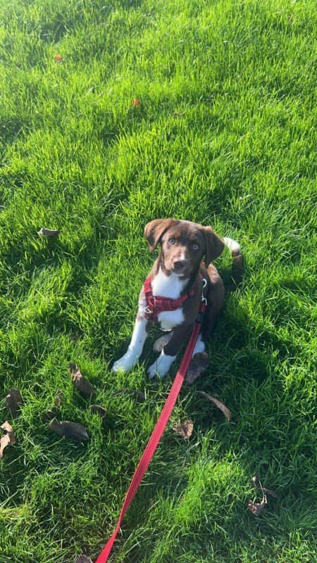 Amy
