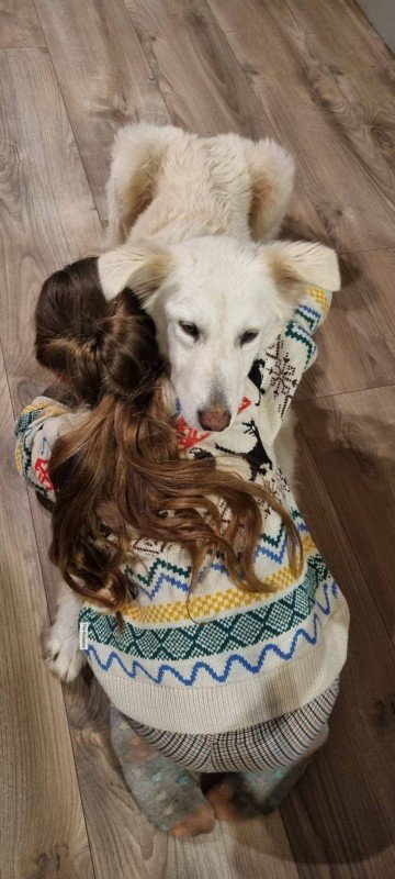 Maella