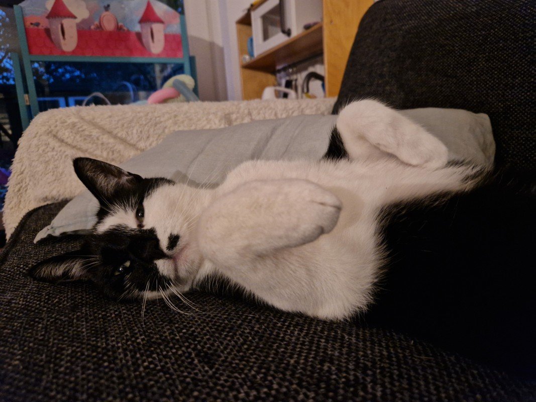 Marbles