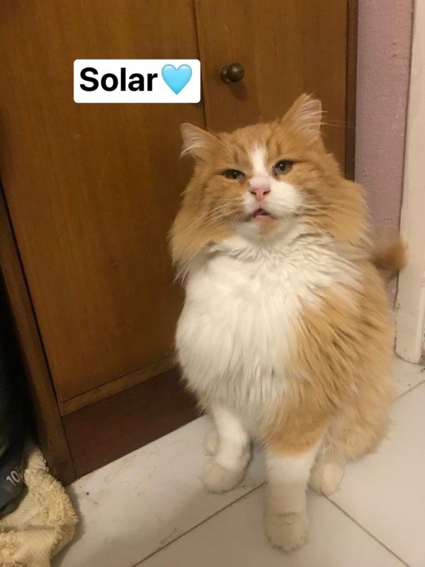 Solar