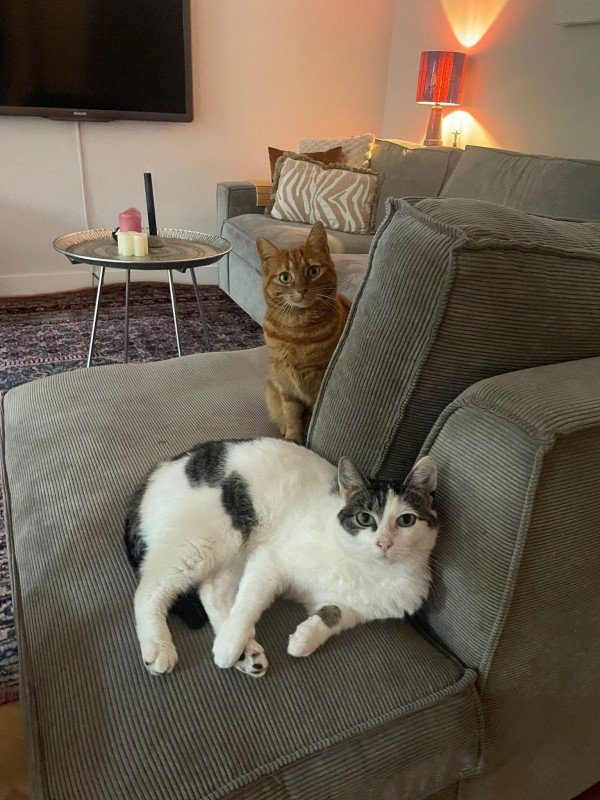 Winnie & Sammie