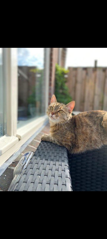Sammie