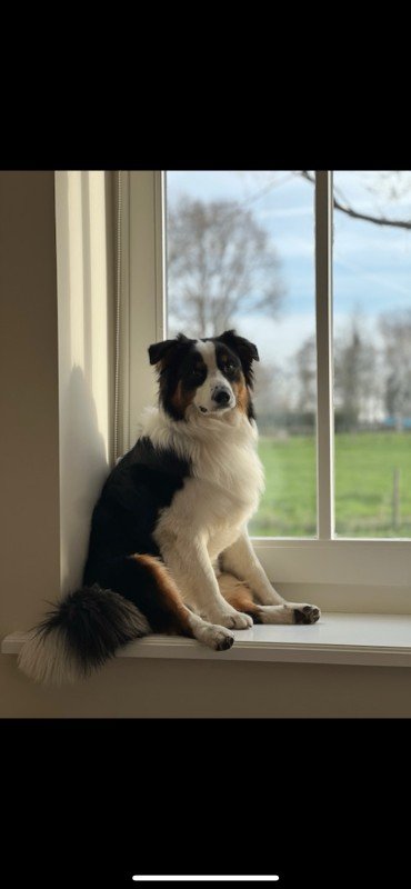Chester