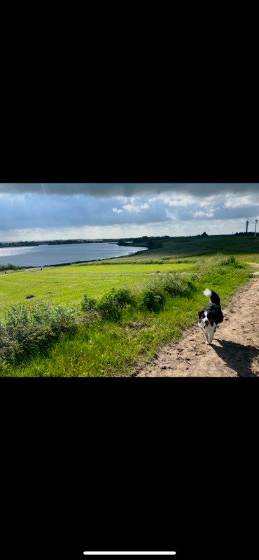 Chester