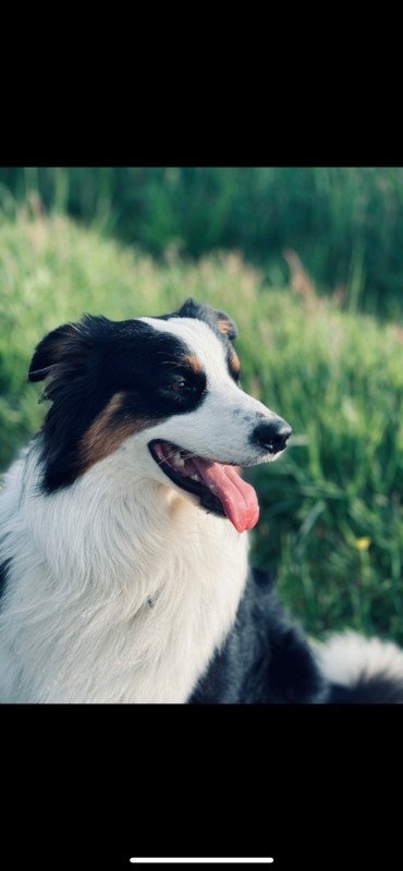 Chester