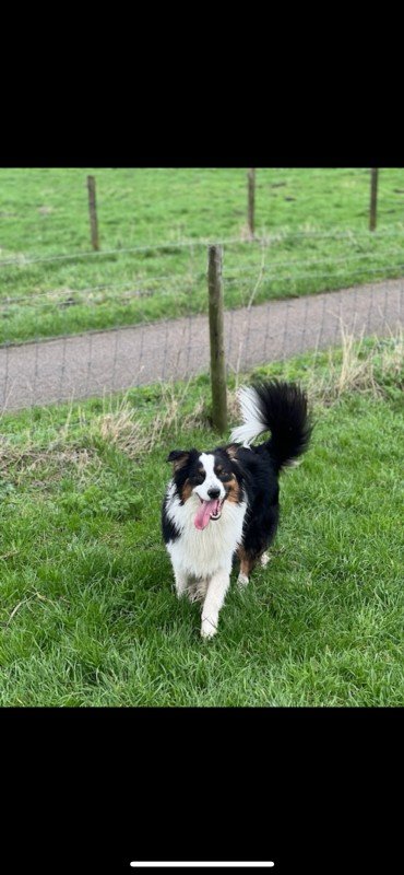 Chester