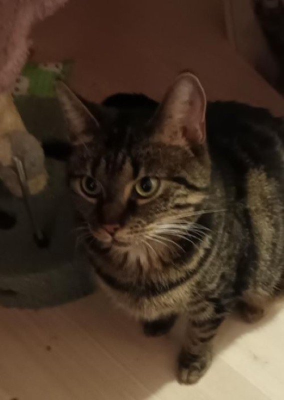 Pablo